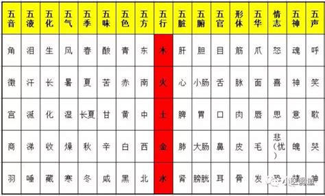 2023年五行屬|【2023年五行屬】2023年五行屬什麼？寶寶五行命理。